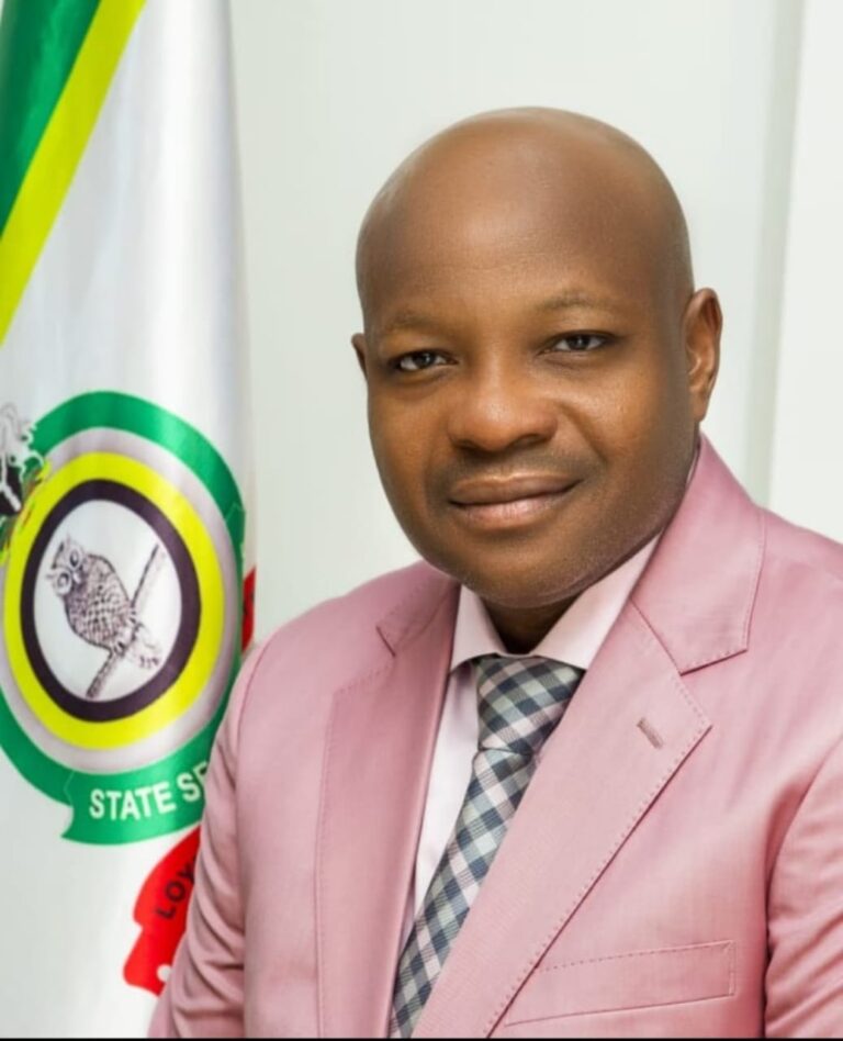 The Nigerian State, The Media, And The Man In The Yellow House, Achike Chude